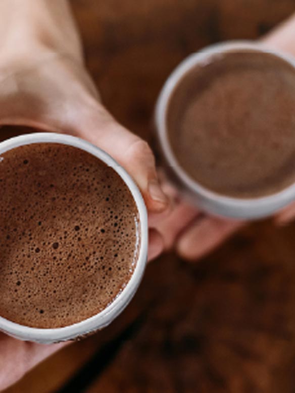 Círculo grupal con cacao y hongos sanadores