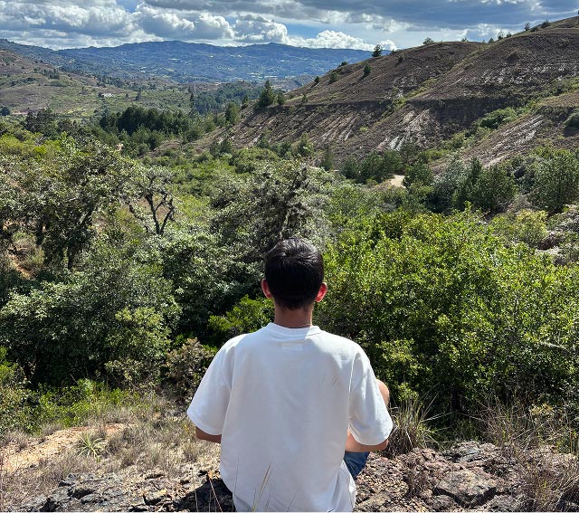Persona contemplando el paisaje natural durante una práctica de noble silencio en Senda Loto Alma