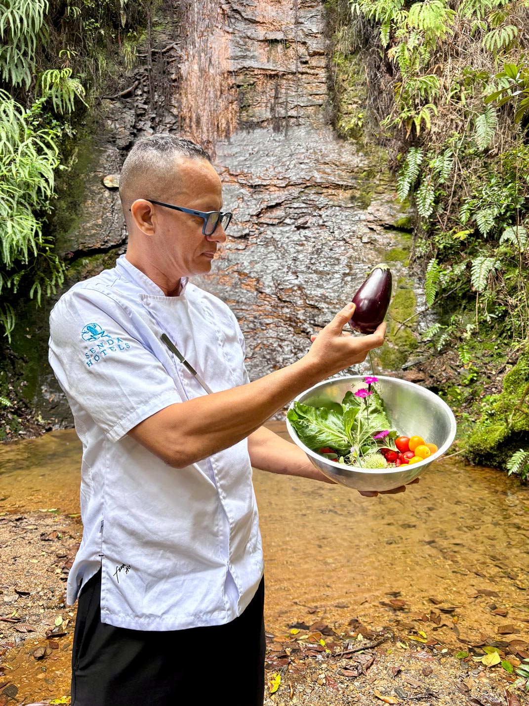 Comida vegetariana en Senda Loto Alma
