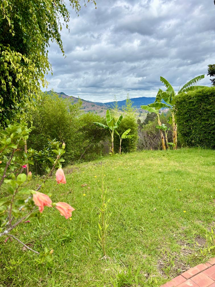 Naturaleza, plantas y flores en Senda Loto Alma