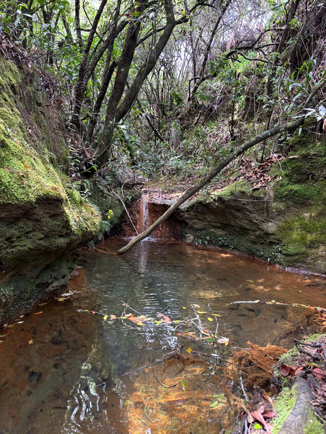 Río en Senda Loto Alma